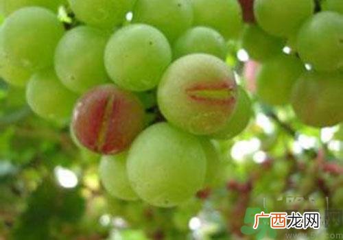 葡萄裂开了是怎么回事？葡萄裂开了能吃吗？