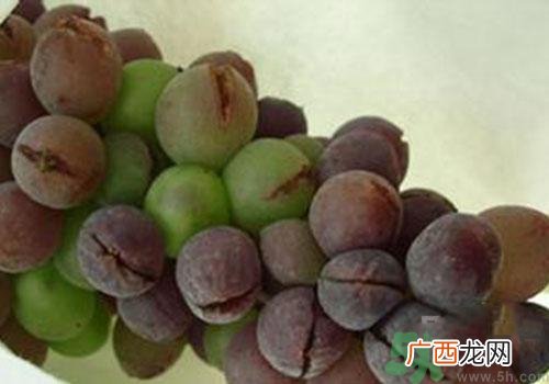 葡萄裂开了是怎么回事？葡萄裂开了能吃吗？