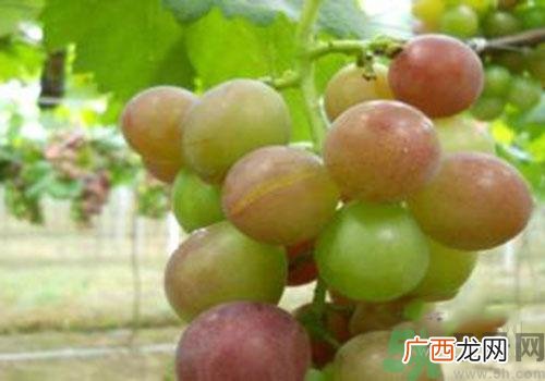 葡萄裂开了是怎么回事？葡萄裂开了能吃吗？