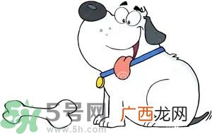 七夕单身狗怎么过？单身怎么过七夕？