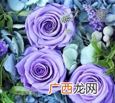 永生花是什么?永生花是真花吗?