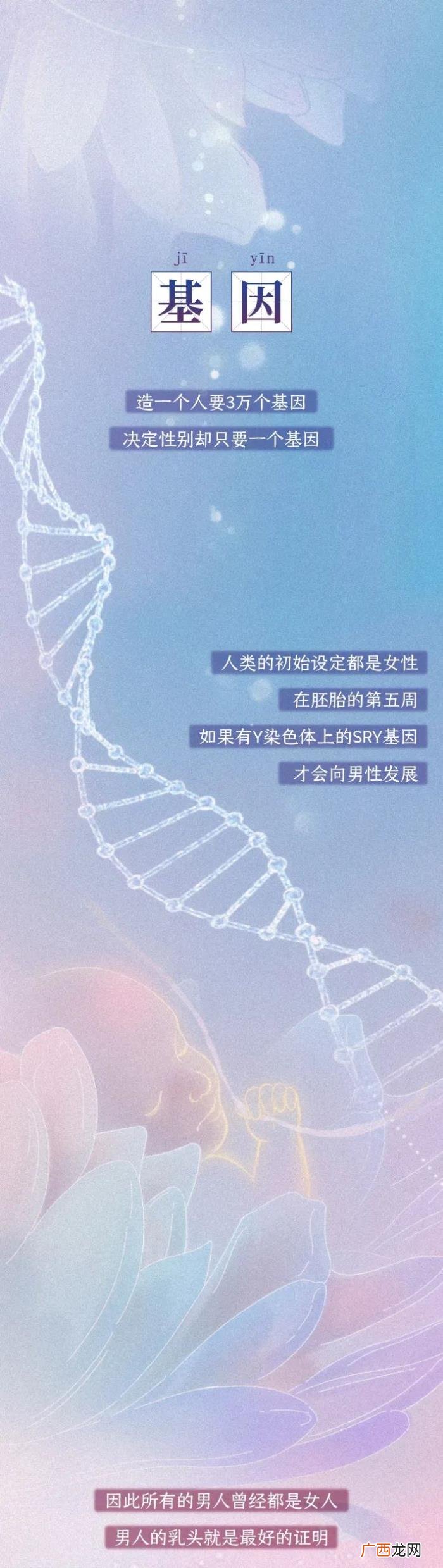 女人最害羞地方的名称,女人身体敏感部位图鉴
