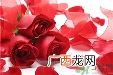 玫瑰花怎么养久一点?玫瑰花的养护