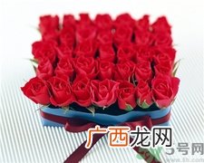 玫瑰花怎么养久一点?玫瑰花的养护