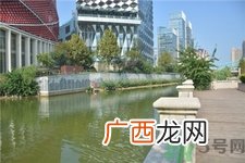 武昌楚河变绿,河水变绿是什么原因?