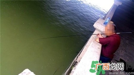 武昌楚河变绿,河水变绿是什么原因?
