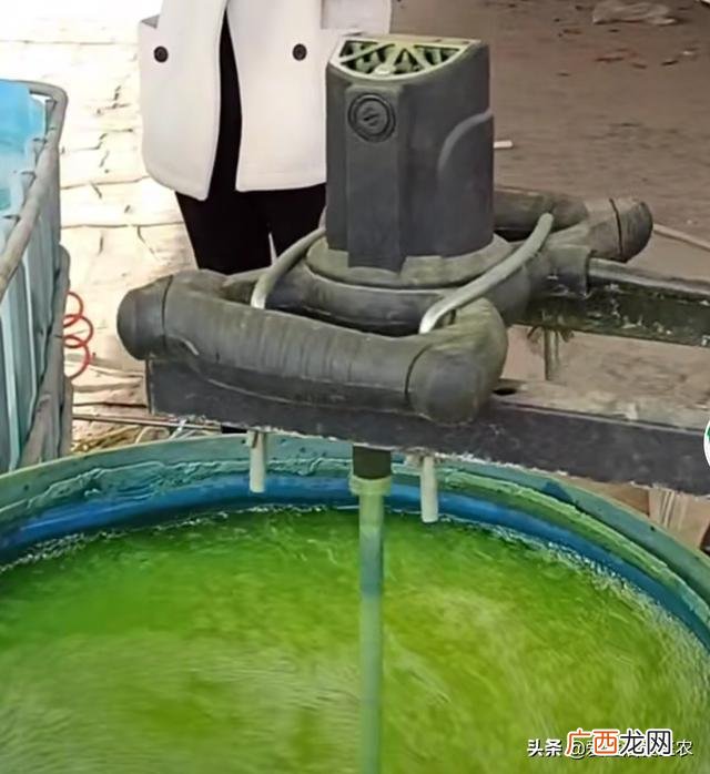 干什么冷门生意好赚钱 县城暴利小生意有哪些