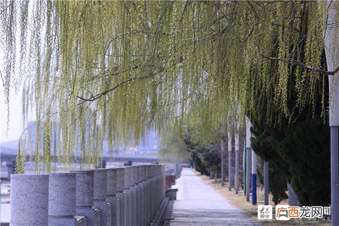 一组美图带您领略福山初春画卷 初春图片