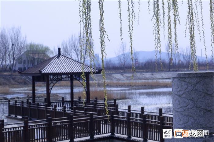 一组美图带您领略福山初春画卷 初春图片