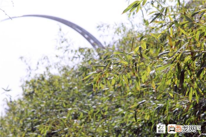 一组美图带您领略福山初春画卷 初春图片
