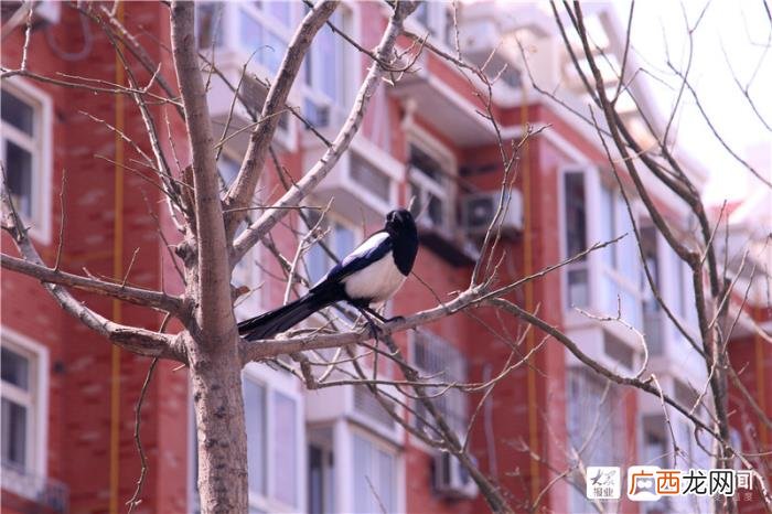 一组美图带您领略福山初春画卷 初春图片