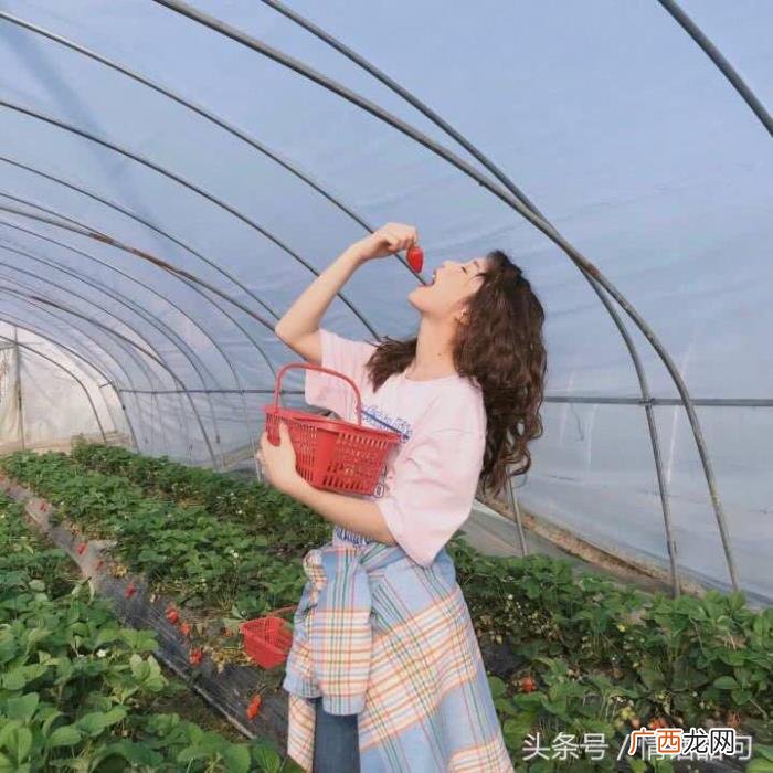 最近超火的100句土味情话合集 撩人的土味情话