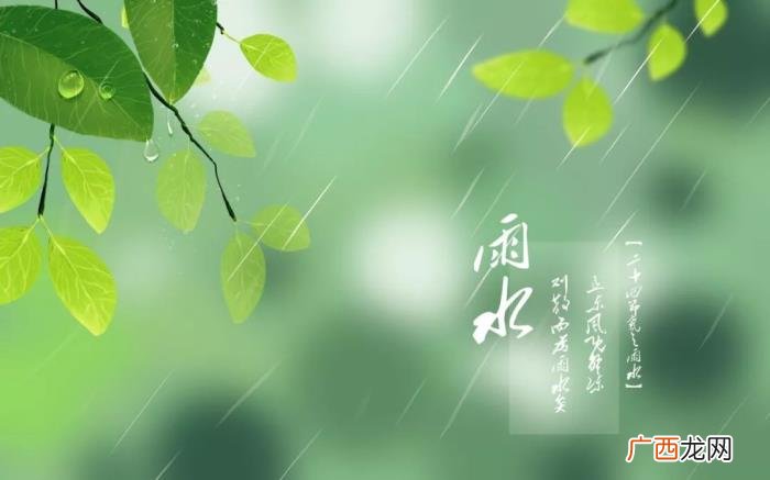 今日雨水丨渴求一场春雨 春雨的图片