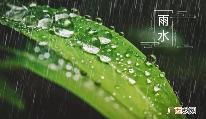 今日雨水丨渴求一场春雨 春雨的图片