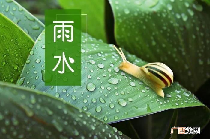 今日雨水丨渴求一场春雨 春雨的图片