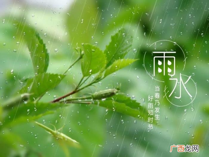 今日雨水丨渴求一场春雨 春雨的图片