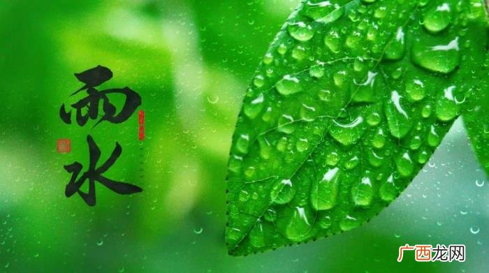 今日雨水丨渴求一场春雨 春雨的图片
