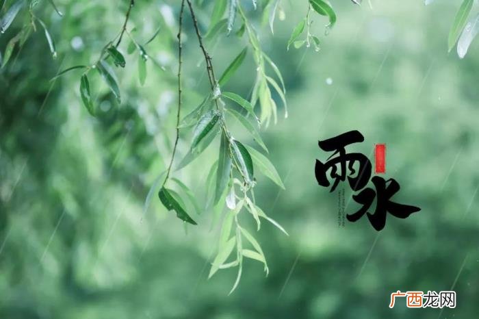 今日雨水丨渴求一场春雨 春雨的图片