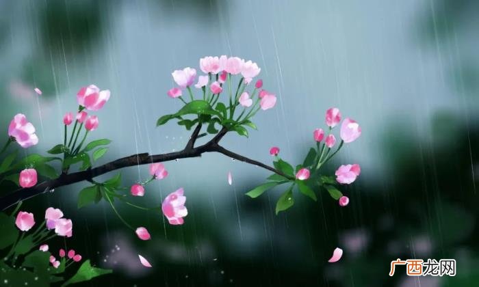 今日雨水丨渴求一场春雨 春雨的图片