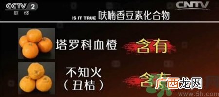 吃降压药能吃柚子吗?服用降压药吃柚子会怎样?