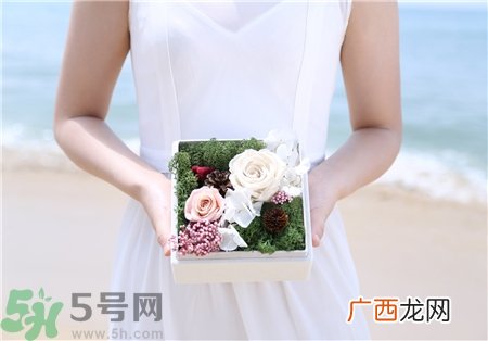 永生花怎么保养?永生花的保存方法