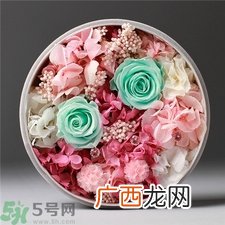 永生花怎么保养?永生花的保存方法