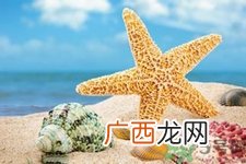 海星可以离开水吗？海星离开水还可以活多久？