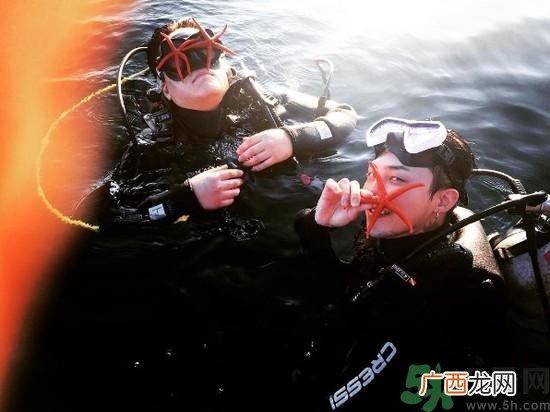 海星可以离开水吗？海星离开水还可以活多久？