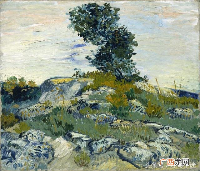 这些年到底经历了什么的说说,这些年经历了太多太多了
