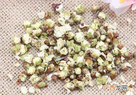 白梅花的功效与作用及禁忌