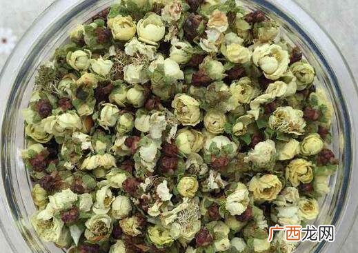 白梅花的功效与作用及禁忌