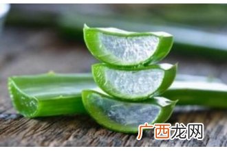 生吃芦荟的功效与作用 芦荟生吃的好处有哪些
