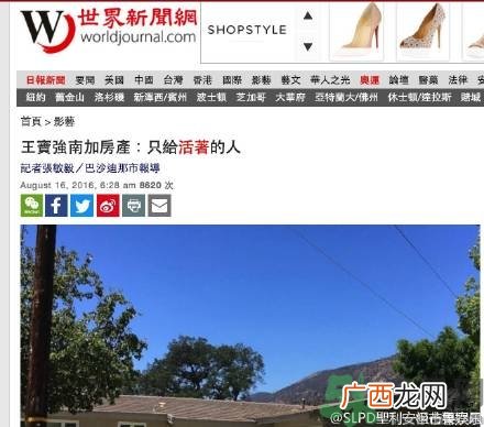 王宝强车祸和马蓉有关吗?发生车祸怎么办?