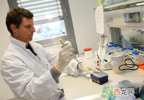 兴奋剂怎么检测?兴奋剂尿检和血检是怎么回事?