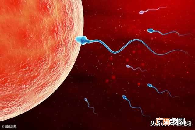 女性排卵期是什么时候（女性排卵期有哪些症状