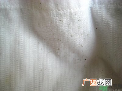 衣服长黑点怎么洗掉？衣服上长霉点怎么去除？