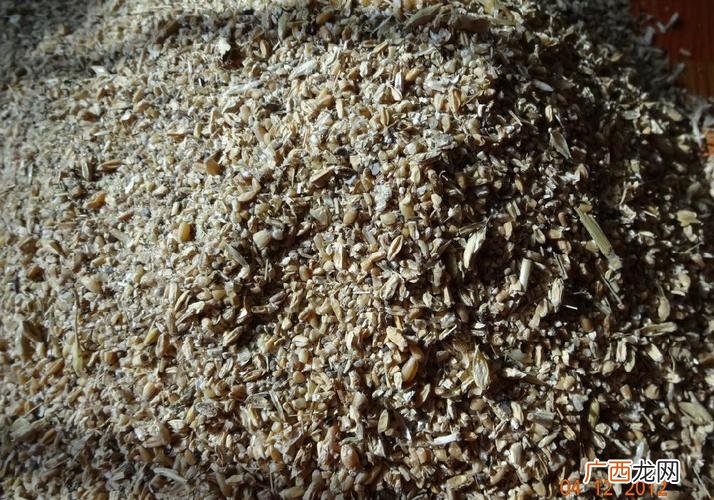 水鸭多少钱一斤 养殖鸭多少钱一斤