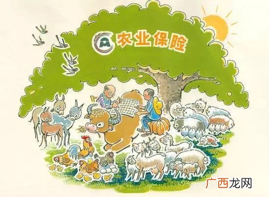 养殖业有哪些 养殖业有保险吗