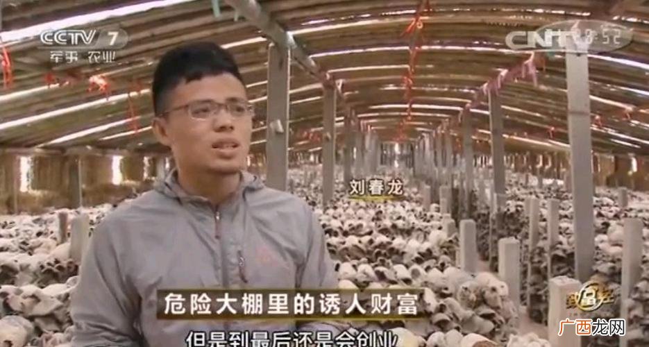 每日农经致富经养番鸭 养殖致富经视频播放