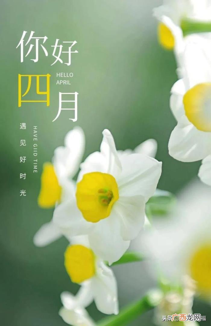 4月你好唯美带字图片 图片唯美带字