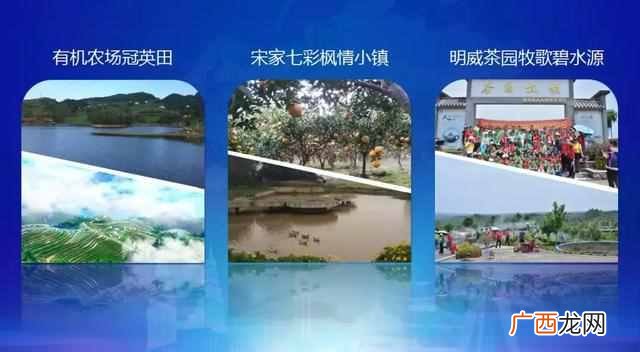 惬意是什么意思（每个人说的惬意的生活是什么