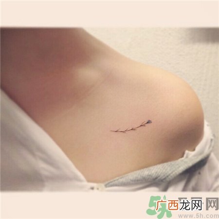 锁骨纹身疼吗?锁骨纹什么好看?