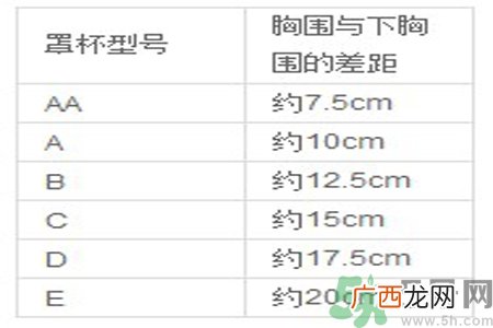 胸罩的大小型号怎么分？如何测量自己胸围的大小？