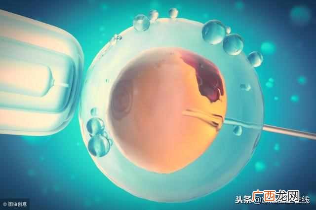 什么是人工受孕（关于人工受孕这些事，你知道