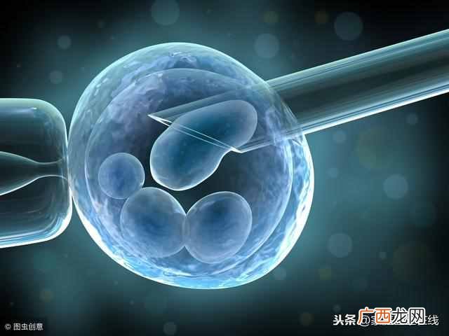 什么是人工受孕（关于人工受孕这些事，你知道
