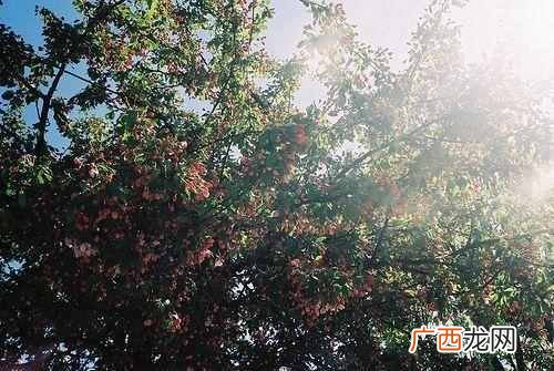 怎么才算是真的随遇而安 随遇而安什么意思