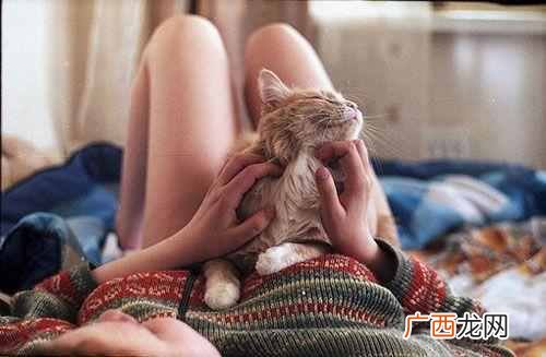 怎么才算是真的随遇而安 随遇而安什么意思
