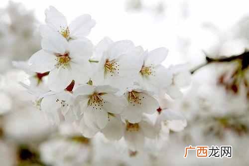 怎么才算是真的随遇而安 随遇而安什么意思