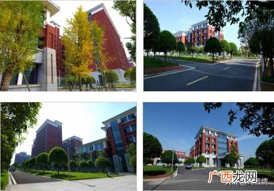 单招和统招有什么不同 统招是什么意思