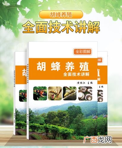马蜂养殖能赚钱吗 有马蜂养殖的书吗